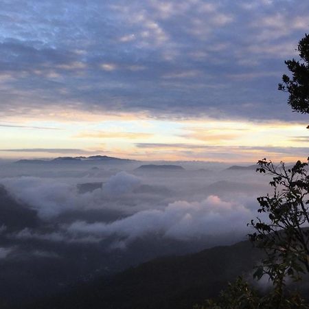 Wanakaset Forest Glamping Kitulgala Kültér fotó