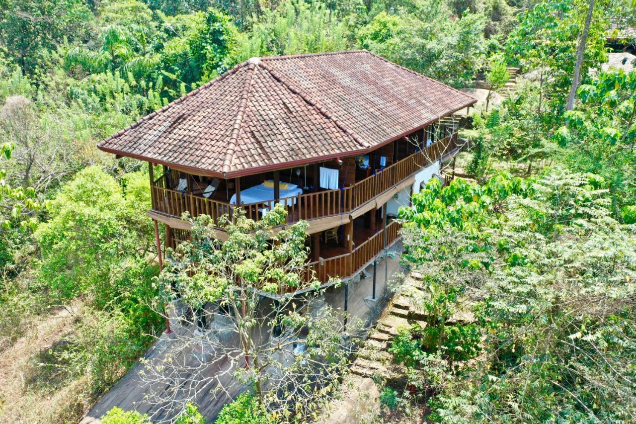 Wanakaset Forest Glamping Kitulgala Kültér fotó