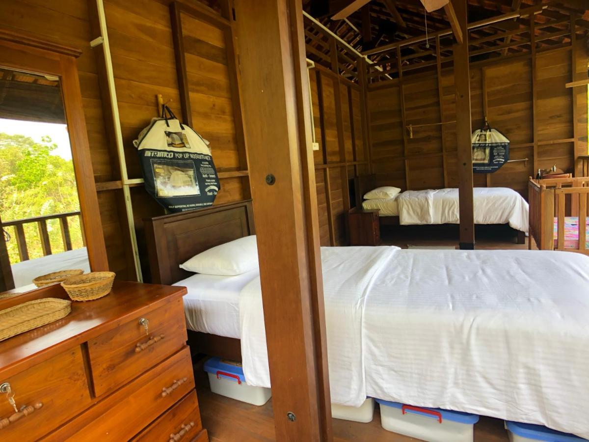 Wanakaset Forest Glamping Kitulgala Kültér fotó