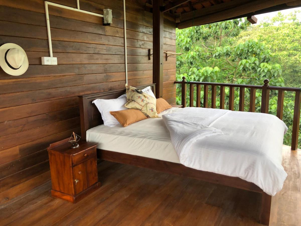 Wanakaset Forest Glamping Kitulgala Kültér fotó