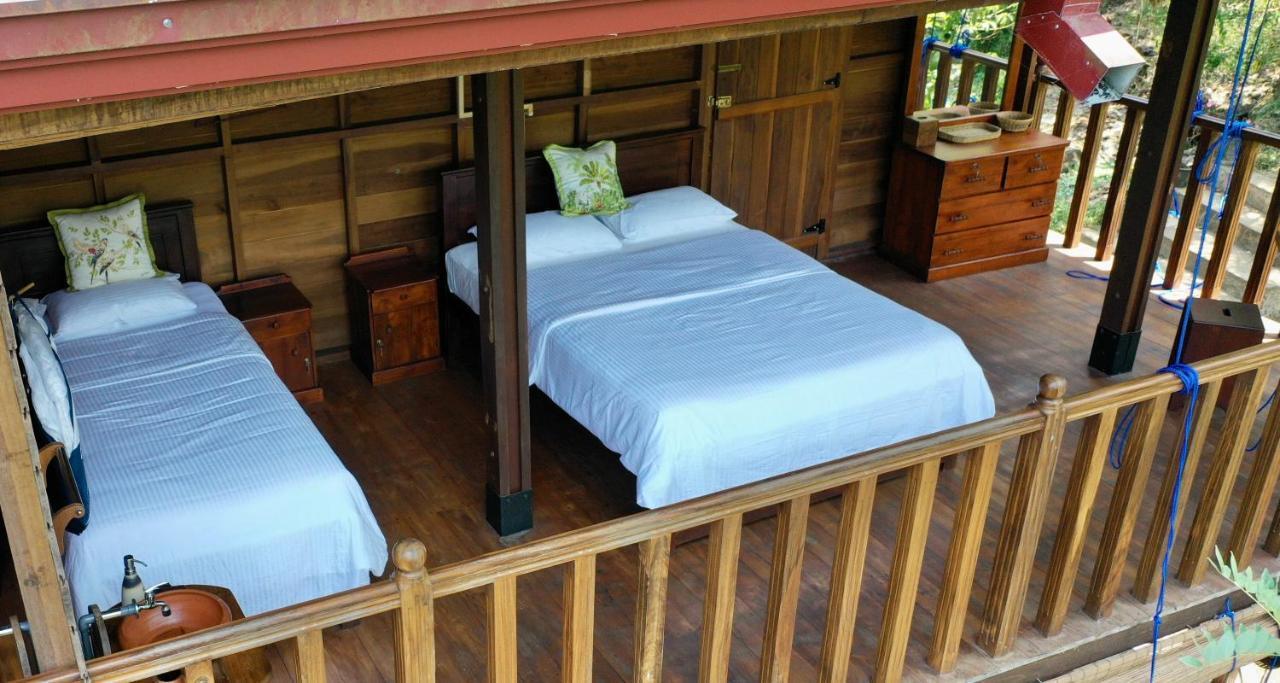 Wanakaset Forest Glamping Kitulgala Kültér fotó