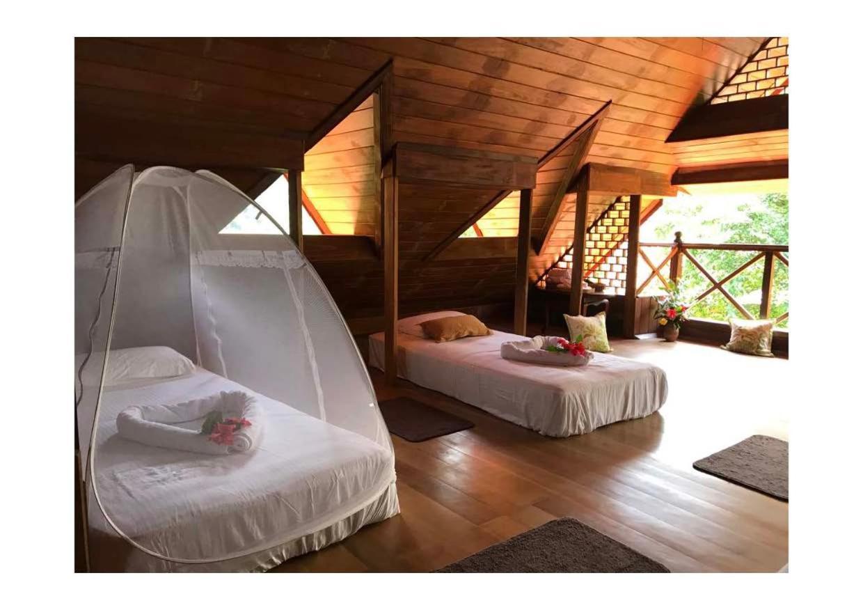 Wanakaset Forest Glamping Kitulgala Kültér fotó