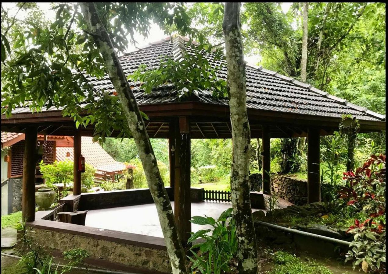 Wanakaset Forest Glamping Kitulgala Kültér fotó