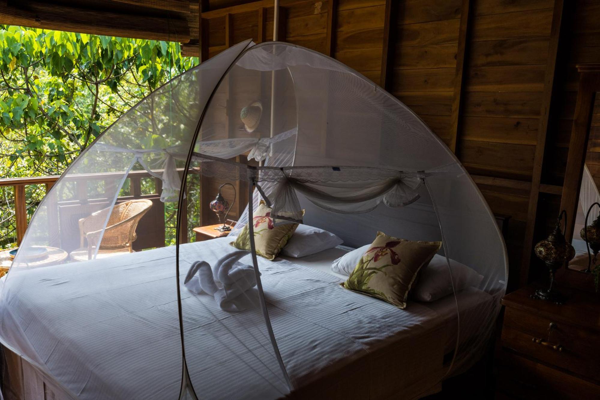 Wanakaset Forest Glamping Kitulgala Kültér fotó