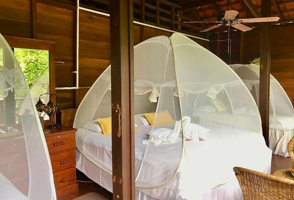 Wanakaset Forest Glamping Kitulgala Kültér fotó
