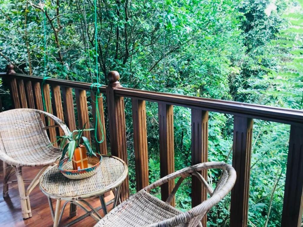 Wanakaset Forest Glamping Kitulgala Kültér fotó