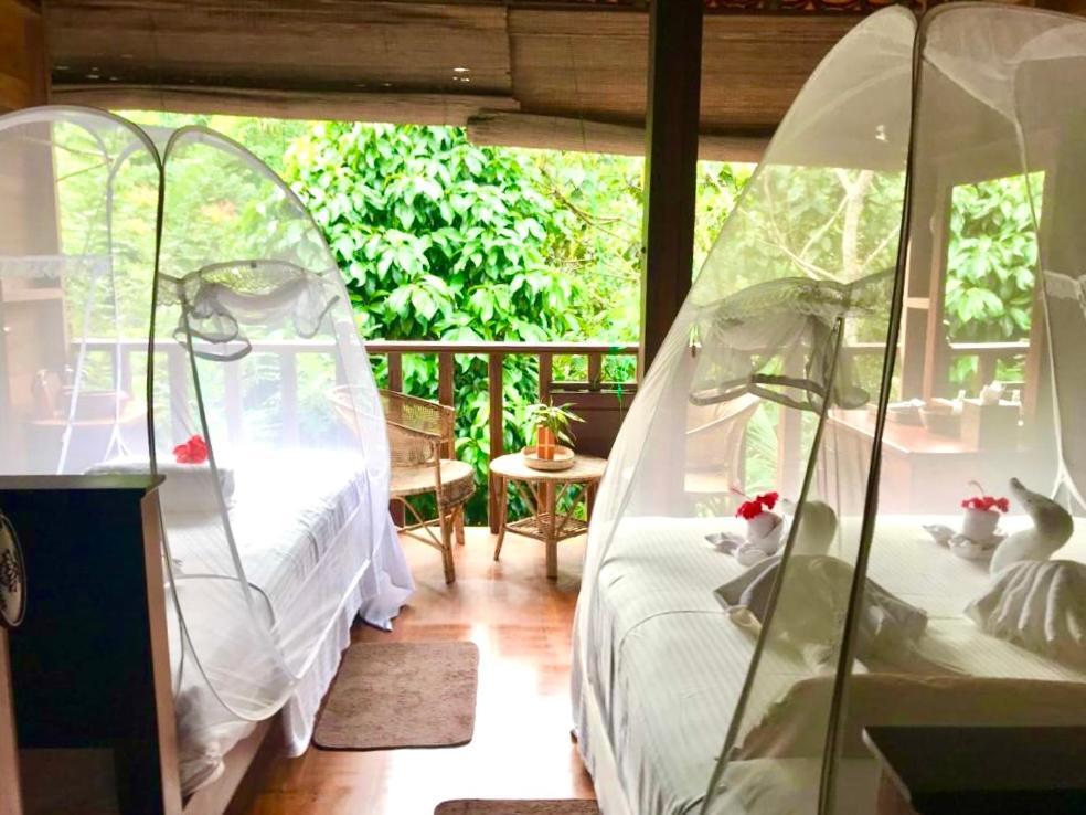 Wanakaset Forest Glamping Kitulgala Kültér fotó