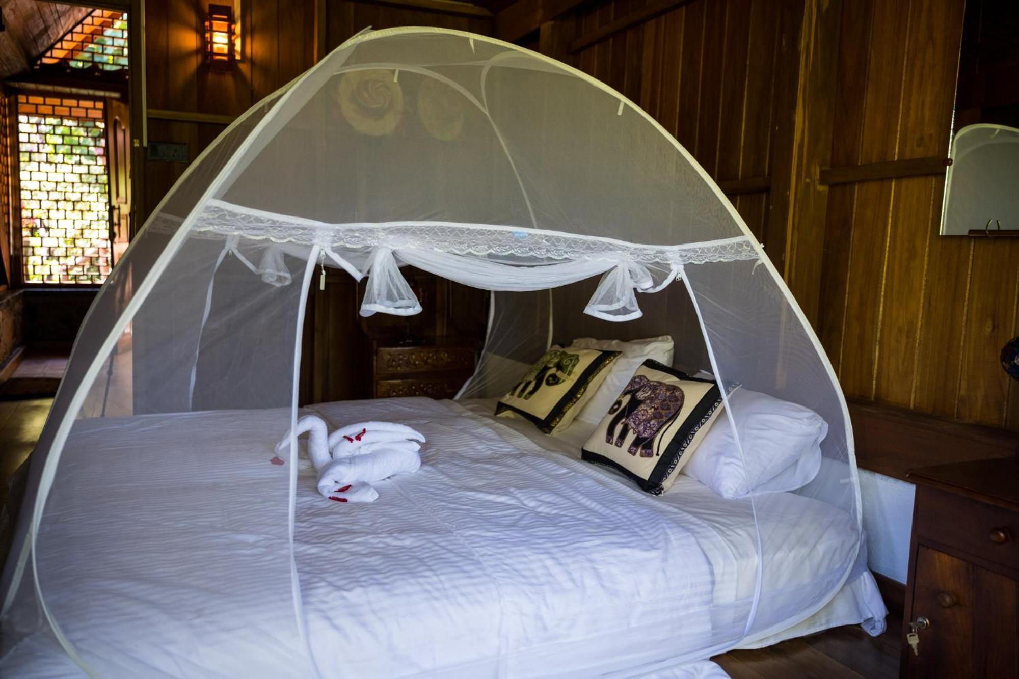Wanakaset Forest Glamping Kitulgala Kültér fotó