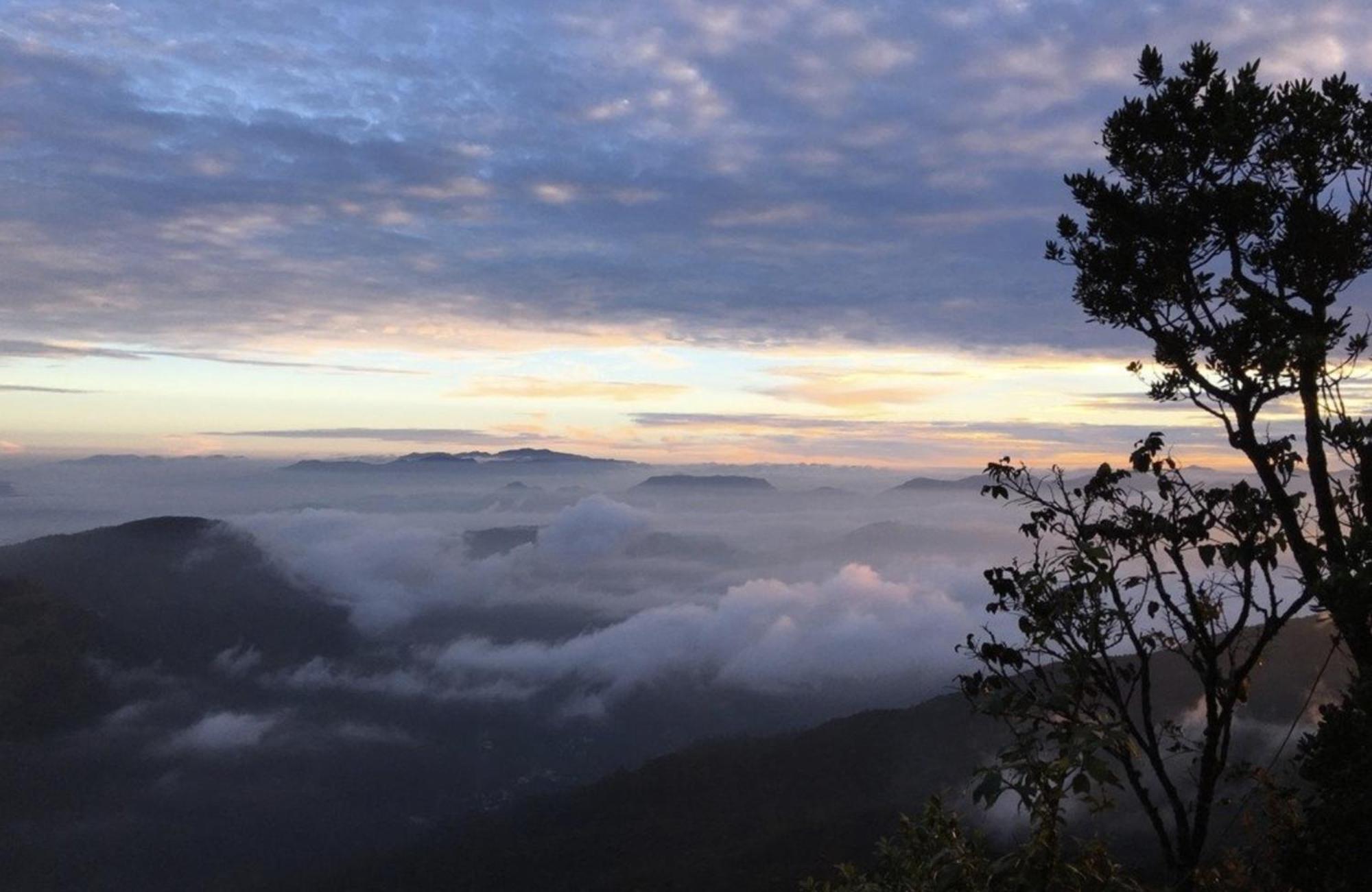Wanakaset Forest Glamping Kitulgala Kültér fotó