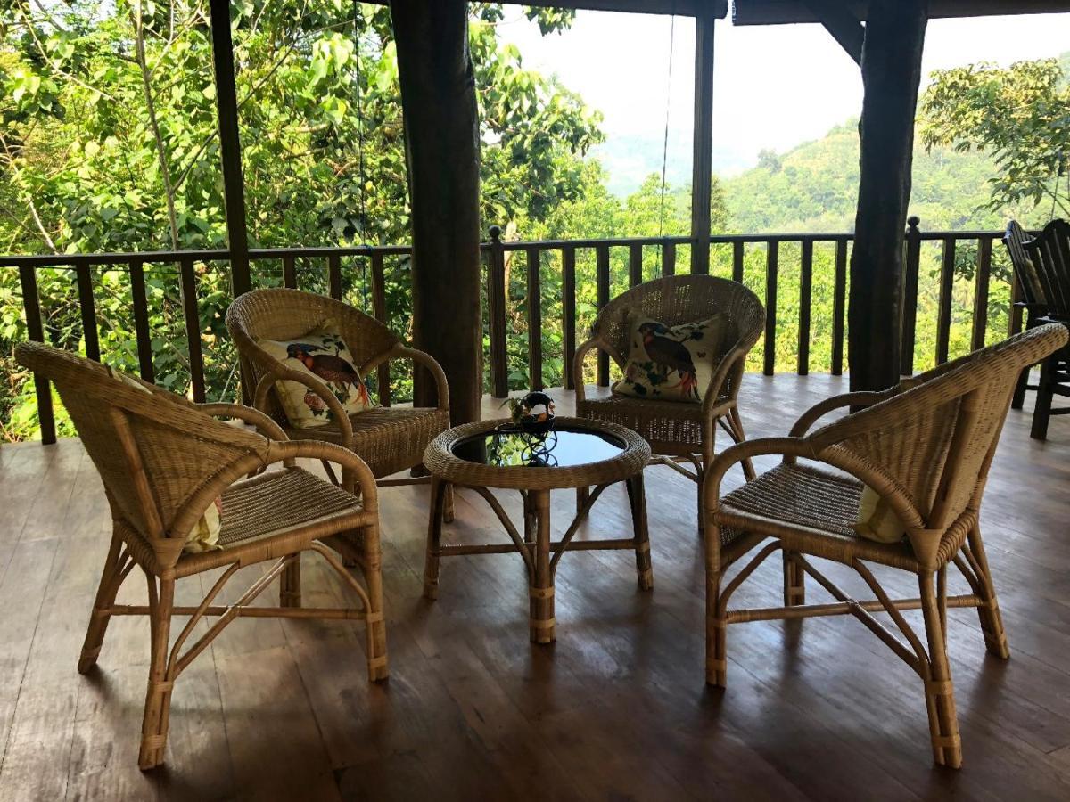 Wanakaset Forest Glamping Kitulgala Kültér fotó